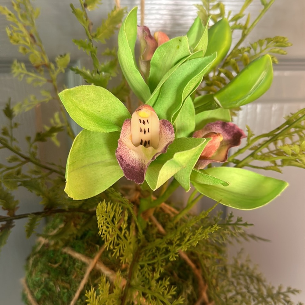 NWT Kokedama (moss ball) with Faux Orchids & Ferns. 14x16”